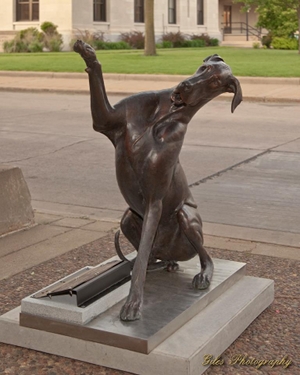 Chippewa Falls Real Estate